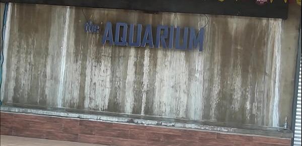  The Aquarium Davao City Philippines